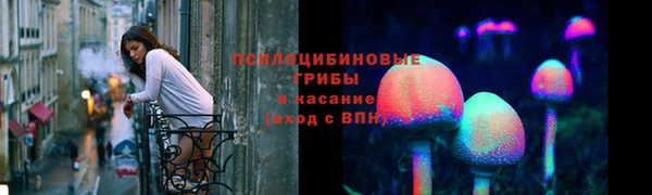 ГАЛЛЮЦИНОГЕННЫЕ ГРИБЫ Абинск