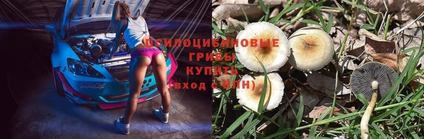 мяу мяу мука Алексин